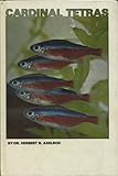 Cardinal tetras