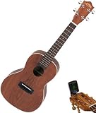Lanikai LU-21C Nato Wood Concert Ukulele w/FREE Tuner