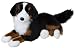 Peter Bernese Mountain Dog 19