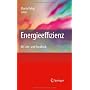 Energieeffizienz: Ein Lehr- und Handbuch von Martin Pehnt