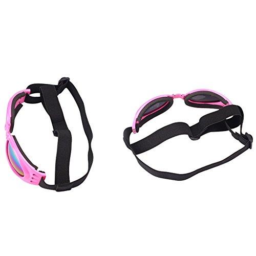 Pet Glasses Dog Sunglasses Dog Glasses Golden Retriever Samoyed