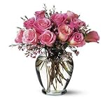 A Pretty Pink Dozen
