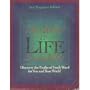 The Word in Life Study Bible: New Testament Edition