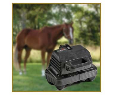 Equine Thumper Massager Horse Body Massager FREE SHIPPING