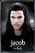 TWILIGHT MOVIE POSTER JACOB FULL SIZE (24"x36")