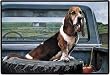 Basset Hound in Truck Doormat Mat Rug Home Decor