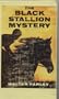 The Black Stallion Mystery