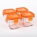 Wean Green Wean Cubes 4oz/120ml Baby Food Glass Containers - Carrot (Set of 4)
