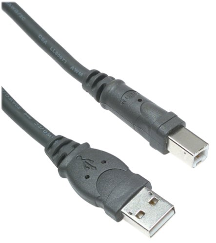 Belkin F3U133-10 Hi-Speed USB 2.0 Cable (10 Feet)