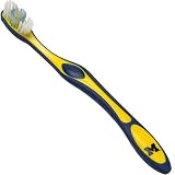 Michigan Wolverines Navy Blue Collegiate Toothbrush