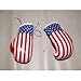Car Hanging Mini Gloves Boxing USA Print