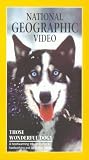 National Geographic Video - Those Wonderful Dogs VHS