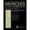 The Top 25 Bestselling Physiotherapy Books
