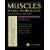 Muscles: Testing and Function with Posture and Pain