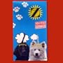 Music for Pets