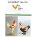 Bantams in Colour (The Gold Cockerel Series)