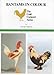 Book Bantams in Colour (The Gold Cockerel Series)