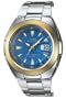 Casio Men's VQ201HSGA-2AV Waveceptor Atomic Watch