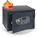 LockState 42EC DIGITAL FIRE SAFE