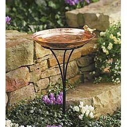 Birdbath Cleaner, 1 oz. from Birdbaths