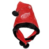 NHL Detroit Red Wings Thematic Santa Hat