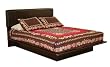 Contemporary 60" Bed in Chocolate Finish By South Shore Furniture