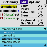English-Polish & Polish-English Business dictionary downloadable Software