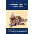 Saunders Veterinary Anatomy Flash Cards