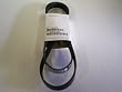 Volvo Truck V-Ribbed Belt 20457273