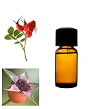 41SPiNOpZBL. SL160  Rosehip Seed Oil   100% Pure Cold Pressed, Virgin. Anti Aging Product 2oz