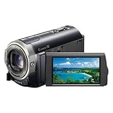 Sony HDR-CX300 "PAL" 16GB Flash Memory Handycam Camcorder, Wide-Angle G Lens, 12x Optical/160x Digit