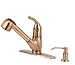 Fontaine Gourmet Pull Out Kitchen Faucet, Antique Copper - NF-KPON-AC