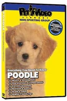 Pet Video Library - Poodle DVD