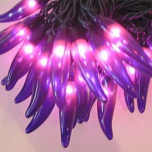Chili Pepper Lights - Purple