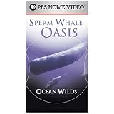 Ocean Wilds: Sperm Whale Oasis [VHS]