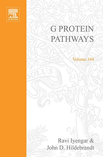 G Protein Pathways, Part B: G Proteins and Their Regulators: 344 (Methods in Enzymology)