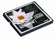 Kingston 8 GB CompactFlash Memory Card CF/8GB