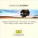 Search : Panorama: Johannes Brahms