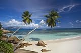 SEYCHELLES BEACH - 24x36 - ART PRINT / POSTER