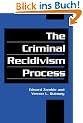 The Criminal Recidivism Process (Cambridge Studies in Criminology)