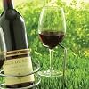 SteadySticks By Tovolo Wine Glass Holders, Set of 2