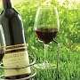 SteadySticks By Tovolo Wine Glass Holders, Set of 2