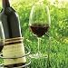 Kitchen & Housewares : Steady Sticks Wine Glass Holder (Set of 2