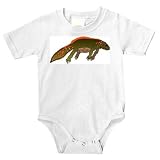 Onesie with spots, orange, green, reptile, lizard