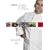 Tapas: A Taste of Spain in America