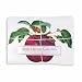 Gourmet Food : Apple Clever Cake Mix