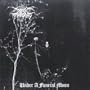 Under a Funeral Moon