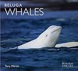 Beluga whales