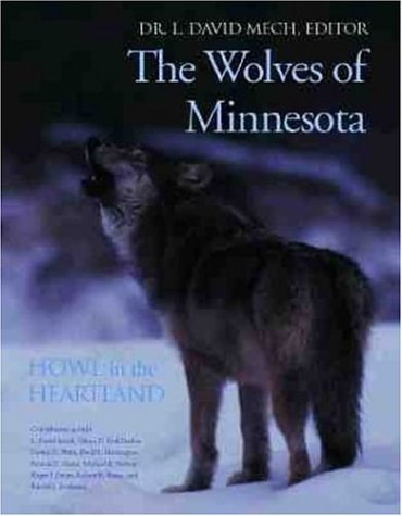 the wolves of minnesota howl in the heartland wildlife