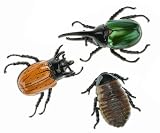 Discovery Exclusive Radio Control Arthropods